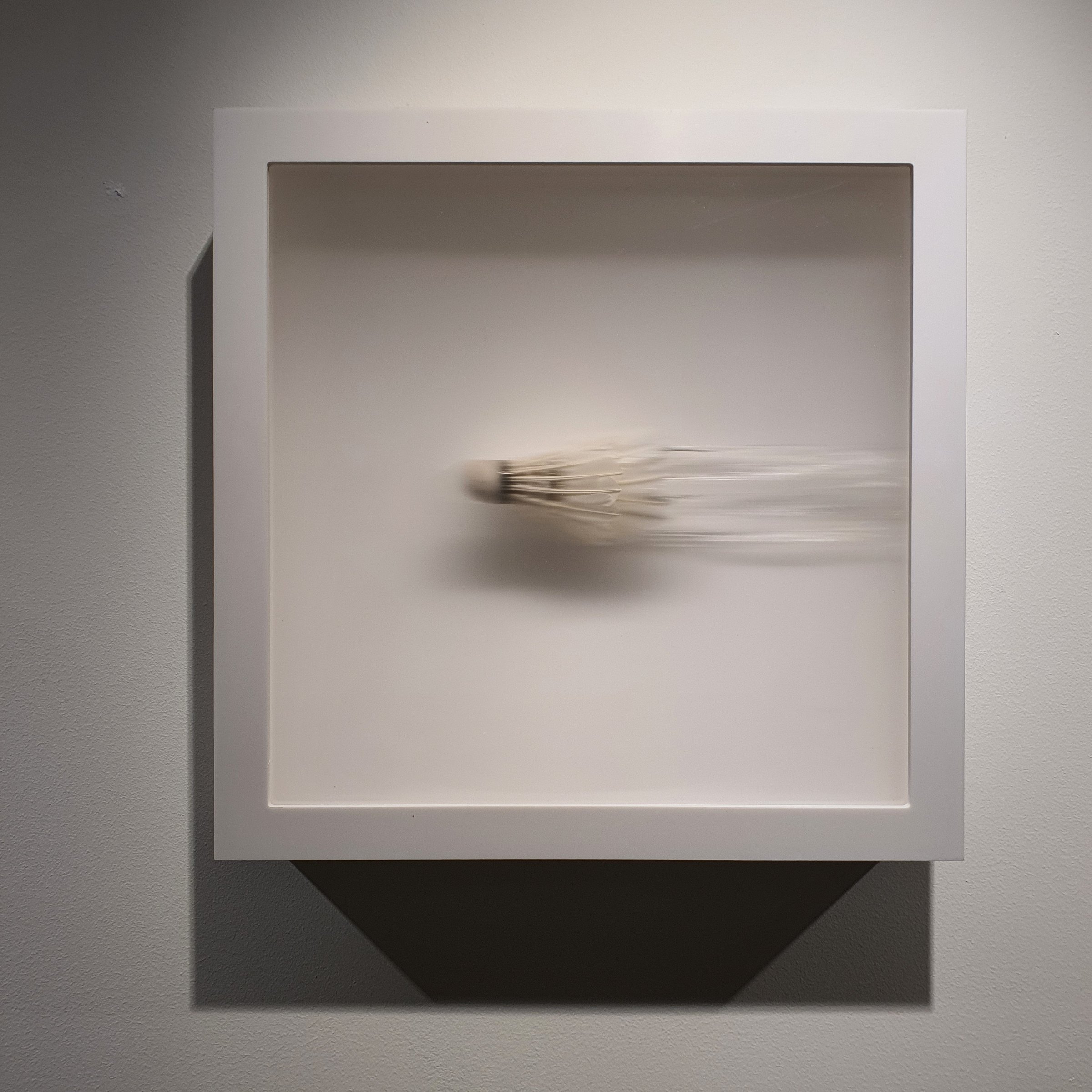 Shuttle in motion inside a white frame